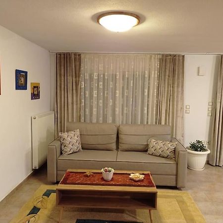 Appartement Trikala Alex House Extérieur photo