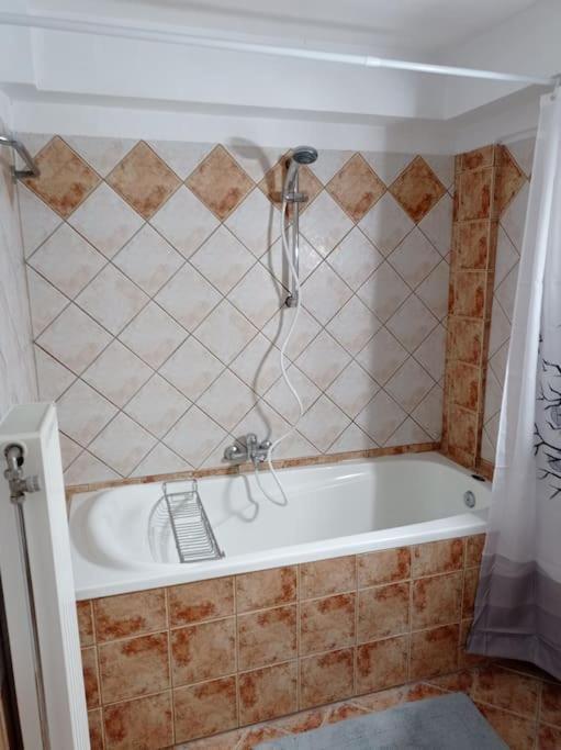 Appartement Trikala Alex House Extérieur photo