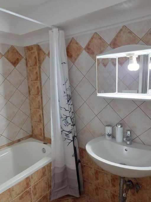 Appartement Trikala Alex House Extérieur photo