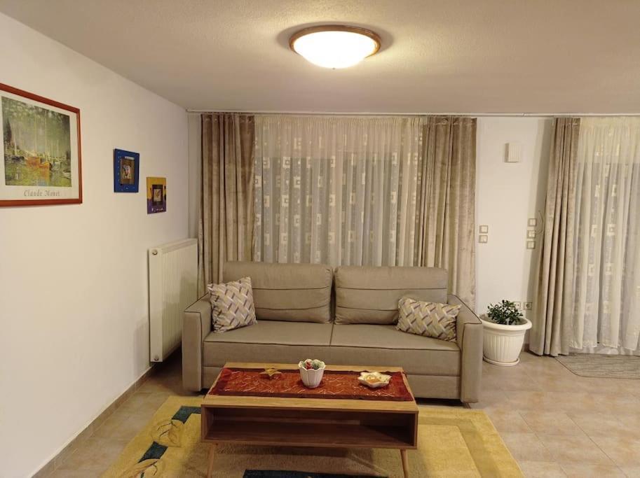 Appartement Trikala Alex House Extérieur photo